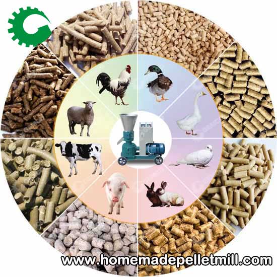 Pellet Making Machine Can Make Nutrient Rich Animal Feed Particles