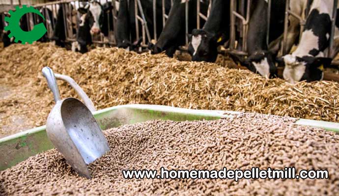 cattle feed pellets