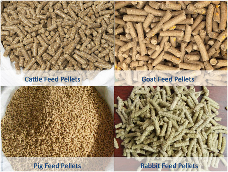 livestock feed pellets