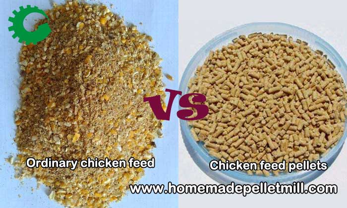 Chicken feed pellets VS Ordinary chicken feed