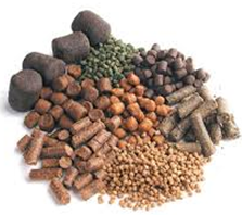 feed pellet