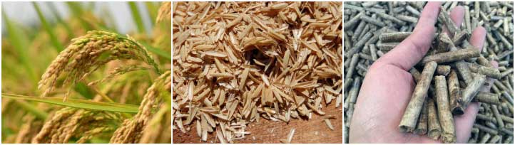 rice husk pellets