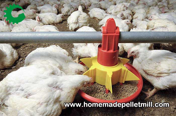 Use poultry feed pellet making machine making chicken feed