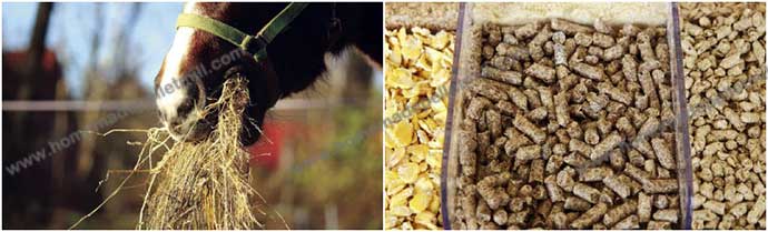 various of animal feed